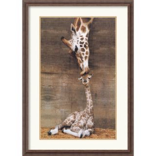 Amanti Art Makulu Giraffe First Kiss Framed Print by Ron DRaine