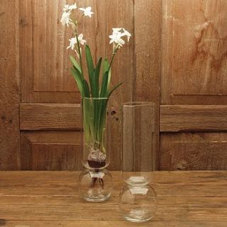 tall clear bulb vase by men's society