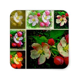 Apple Blossom Collage   Enhanced Digital Photo Stickers