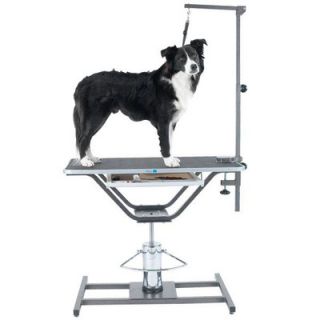 Master Equipment Hydraulic Grooming Table