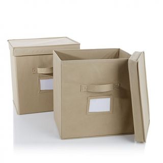 Origami Labeled Storage Bin 2 pack for Small Rack