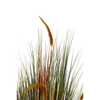 Laura Ashley Home Tall Onion Grass in Square Fiberstone Pot