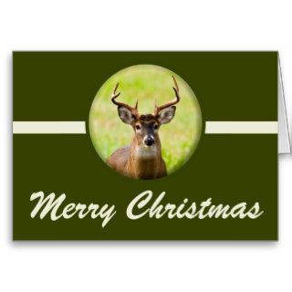 Hunter Whitetail Buck Merry Christmas Card
