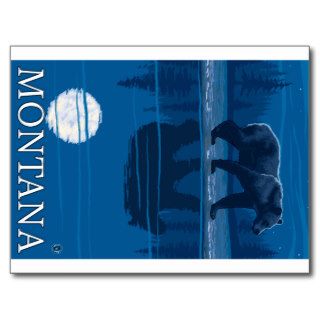 Bear Walking in Moonlight   Montana Post Card