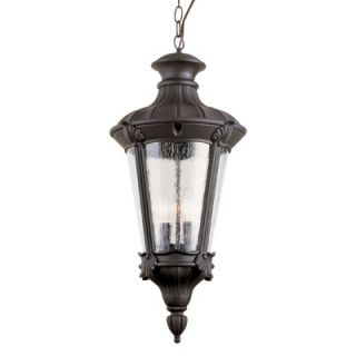 TransGlobe Lighting Imperial Leaf 2 Light Outdoor Hanging