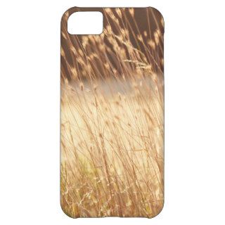 Summer Sunset Field Grass Case For iPhone 5C