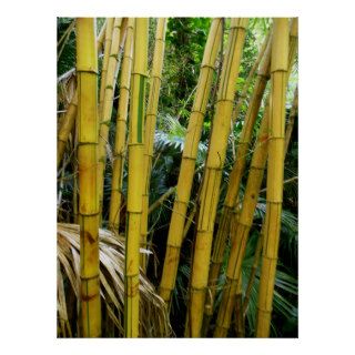 Hawaiian Bamboo Poster