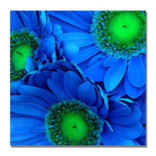 Amy Vangsgard 'Blue Gerber Daisies' Canvas Art Trademark Fine Art Canvas