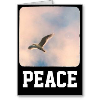 Seagull Peace Greeting Card