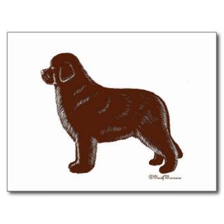 Brown Newfie Post Cards