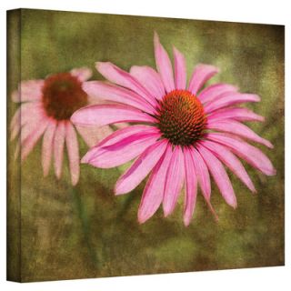 Art Wall David Liam Kyle Flowers in Focus V Gallery Wrapped Canvas