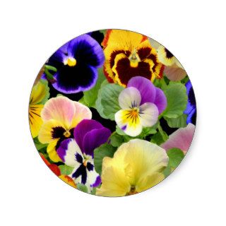 PANSY PATCHWORK  ~ Stickers