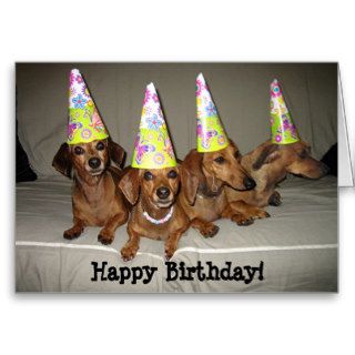 Happy Birthday Dachshund Greeting Cards