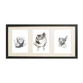 three framed woodland animal prints by kate moby