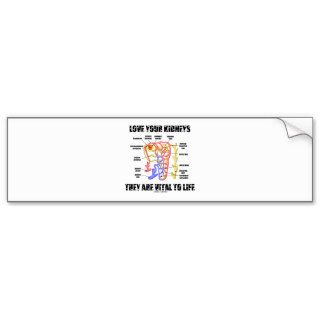 Love Your Kidneys They Are Vital To Life (Nephron) Bumper Sticker