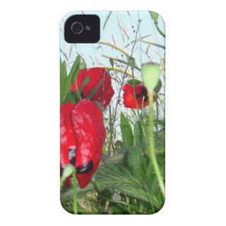 Landscape Close Up Poppies Against Morning Sky Case Mate iPhone 4 Cases