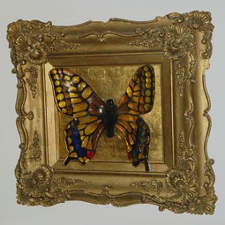 vintage butterfly frame   'swallowtail' by alex r