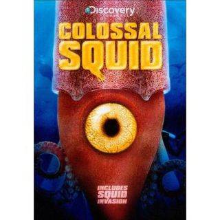 Colossal Squid (Widescreen)