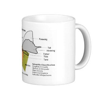 Diagram of a Common Butterfly Anatomy Lepidoptera Mugs