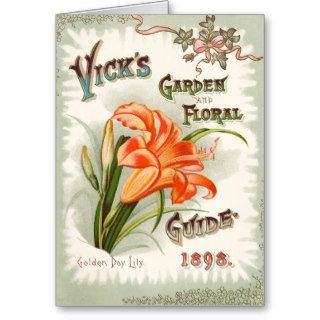 Day Lily Seed Packet Vintage Card