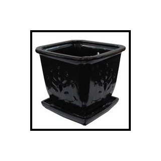 7" Black Onyx Square Ceramic Orchid Pot  Planters  Patio, Lawn & Garden