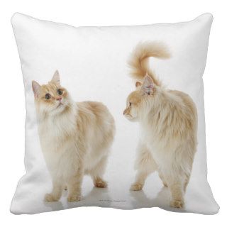 Munchkin cats throw pillows