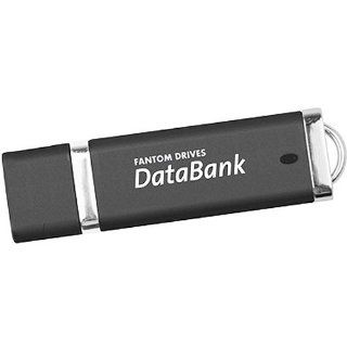MicroNet DataBank 128GB USB 2.0 Flash Drive Computers & Accessories