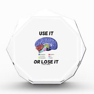 Use It Or Lose It (Anatomical Brain Advice) Award