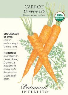 'Danvers 126' Carrot Seeds   1 gram   Organic  Carrot Plants  Patio, Lawn & Garden