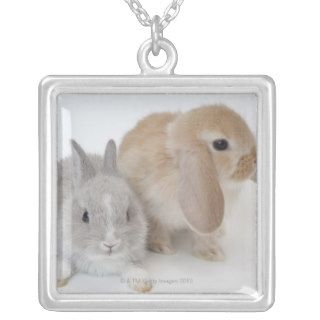 Two rabbits.Netherland Dwarf and Holland Lop. Pendants