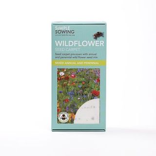 annual and perennial wildflower seed carpet by simple sowing
