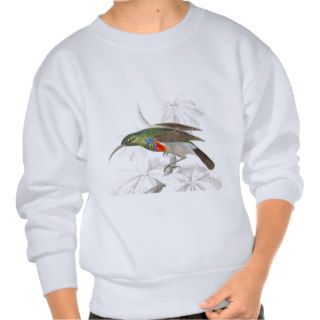 Alexander Wilson Hummingbird Sweatshirt