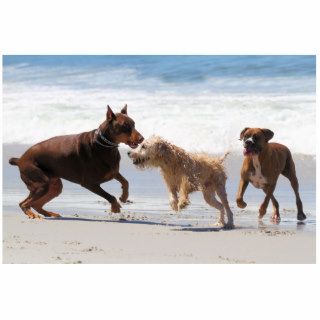 Boxer Doberman   Play Date at the Beach Cut Outs