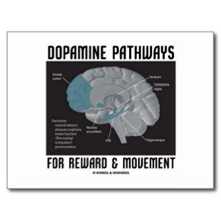 Dopamine Pathways For Reward & Movement Postcard