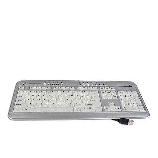 BTC 6300CL 103 Key USB Ultra Slim Luminescent MultiMedia Keyboard (Silver) Computers & Accessories