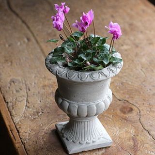 small garden urn by magpie living