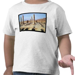 General view of the Apadana  founded c.518 BC Tshirts