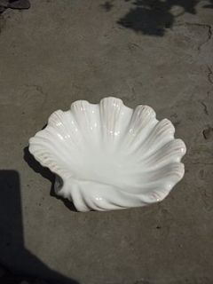 shell soap dish by the hiding place