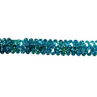 Stretch 7/8'' Holographic Sequin Trim Turquoise By The Yard