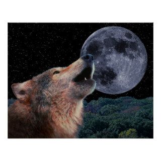 Wolf Howling at the Moon   Poster