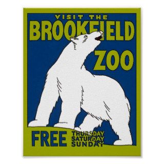 Visit the Zoo Polar Bear Poster