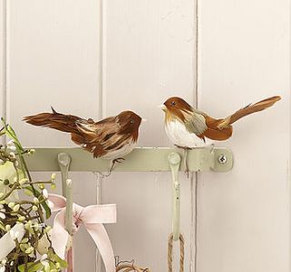 natural feather bird on wire decoration by the contemporary home