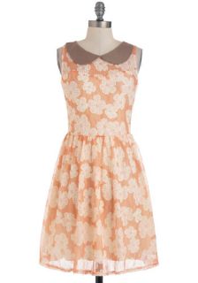 Have A Flowery Picnic Dress  Mod Retro Vintage Dresses