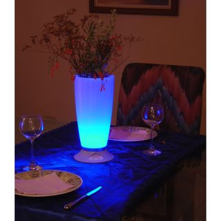 Atmosphere Rechargeable Color changing Vase Vases