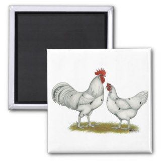 Austra White Chickens Fridge Magnets