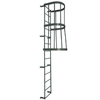 Gillis Caged Fixed Steel Access Ladder   11'H   No Handrail Stepladders