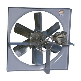 Canarm Belt Drive Wall Exhaust Fan with Cabinet, Back Guard and Shutter — 36in., 14,541 CFM, 3-Phase, Model# XB36CBS30200M
