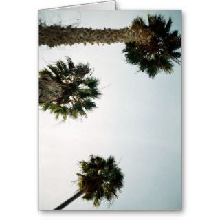 California Palm Trees Greeting Cards