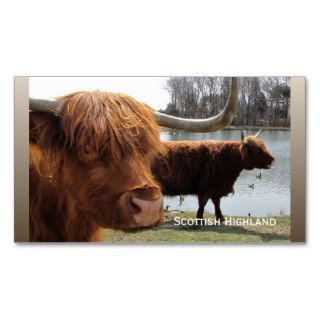 Scottish Highland cattle ~ biz card Business Card