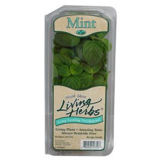 North Shore Living Herbs Mint 2 oz.